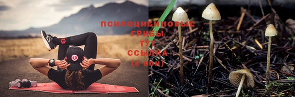 стафф Абинск