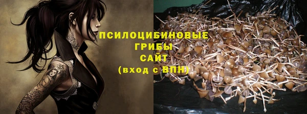 стафф Абинск