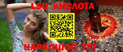 молекула духа Донской